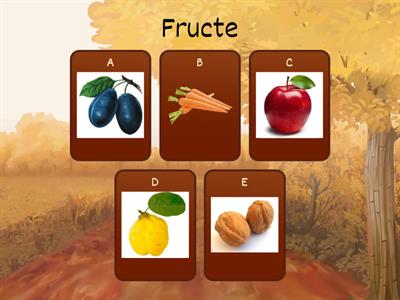 Flori, fructe și legume- proba 2
