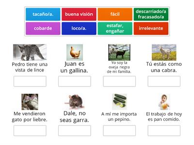  Expresiones comunes en español 