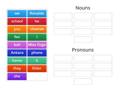 Nouns and Pronouns 