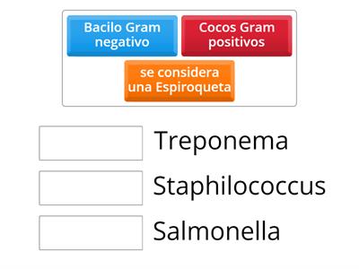 Bacterias 