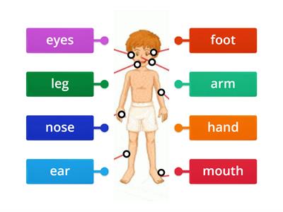 Grade 1 science exam 2022