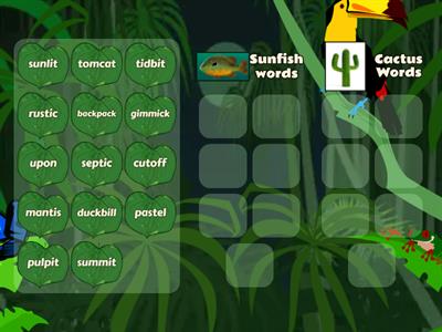 Syllable Division Sort Sunfish vs. Cactus Words 