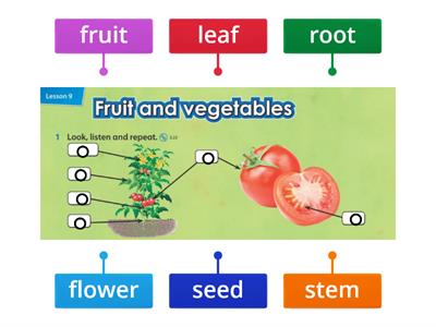 IE3 Unit 5 Fruit and vegetables