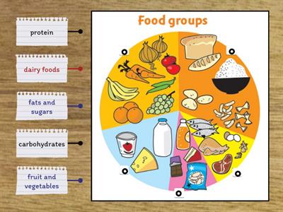 Food groups 