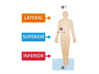 1.3: ARAH dalam Biologi