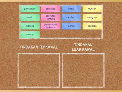 Perbezaan tindakan terkawal dan tindakan luar kawal