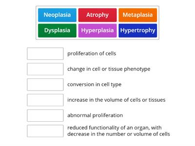 C06: Tropic Pathology (terminology)