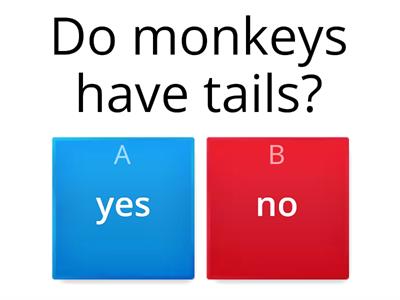 Monkeys