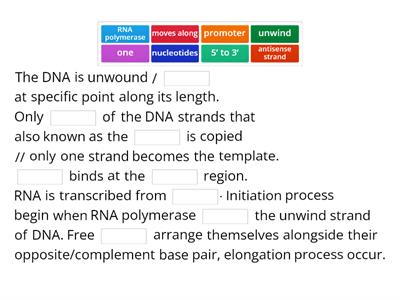 Describe transcription process.