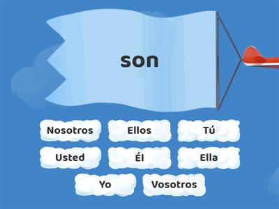 SER Conjugation