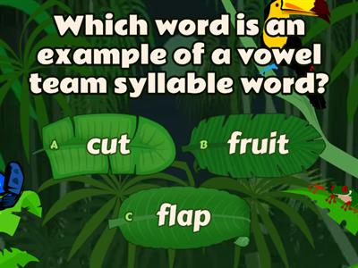 Vowel Team Syllable Quiz