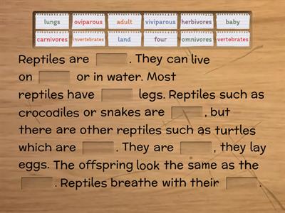 Reptiles