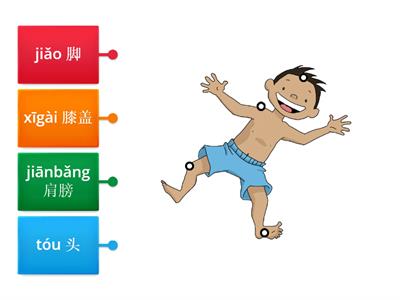 Parts of the Body 1 in Chinese
