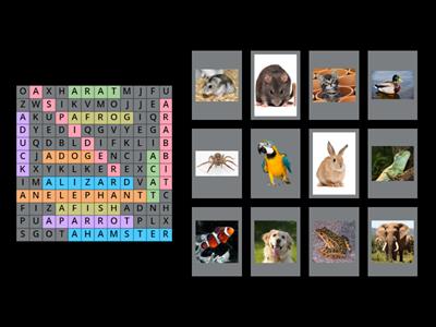 Animals & pets - Wordsearch