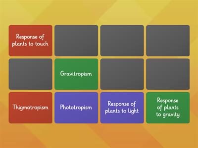  Plant Tropism