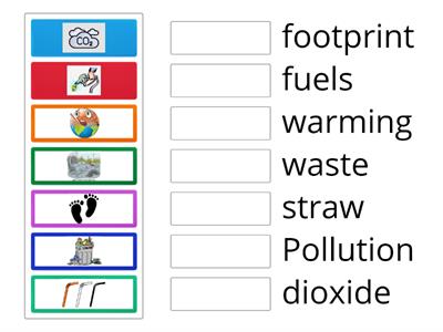 Match words with pictures