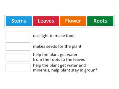 Functions of Plant Parts