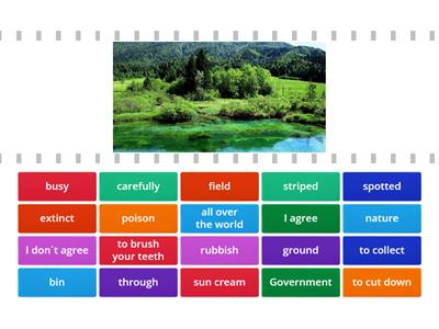 Kids Box 5, vocabulary unit 7