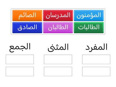  المفرد والمثنى والجمع 