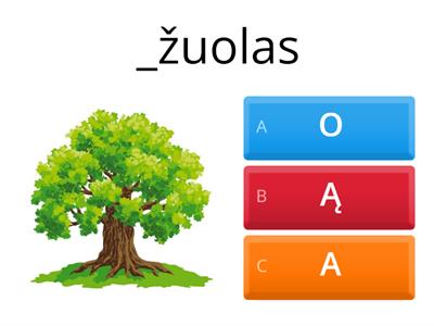 Kokios raidės trūksta? Which letter is missing?