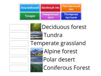 Biomes of Russia 