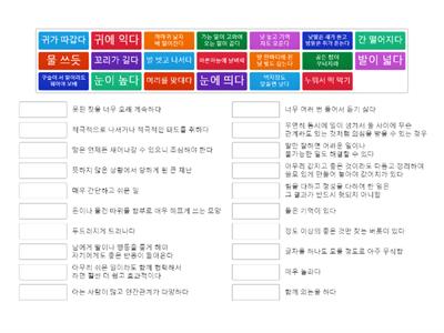 6학년 2학기 국어 관용표현1