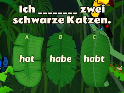 Das Verb "haben"