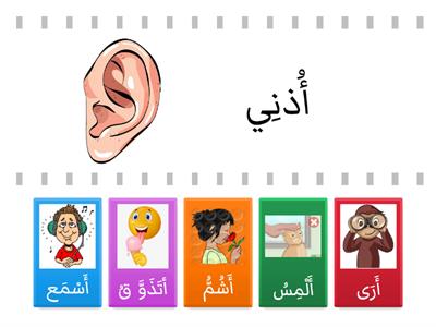 5 senses الحواس الخمس By Ms. Mounna Tamek