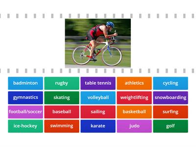  Sports Vocabulary