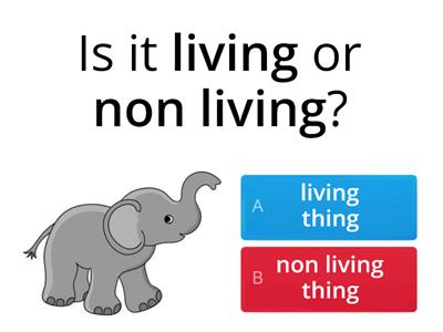  Living and Non Living Things 