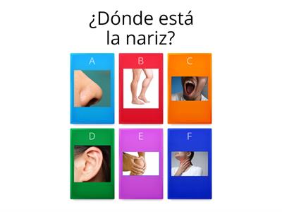 Partes del Cuerpo_ELE_A1_A2