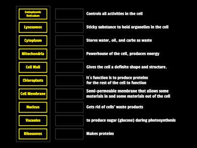 Organelles