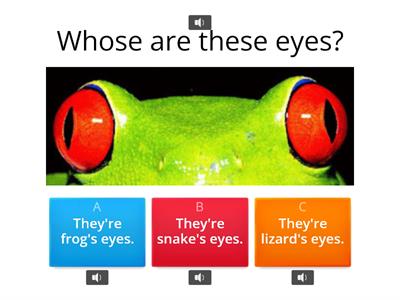 Whose are these eyes?/Whose/Possessive 's/Animals/Pets
