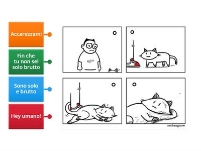 La vita dei gatti