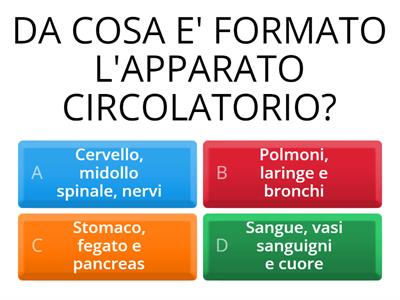 L'APPARATO CIRCOLATORIO