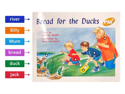 Bread for the Ducks Vocab