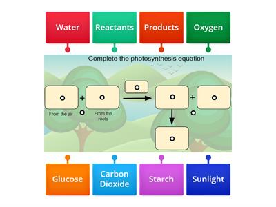 Photosynthesis Equation