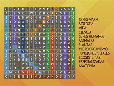 SOPA DE LETRAS, S y D