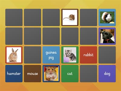 Project 1 Unit 3B - PETS (matching pairs word-picture)