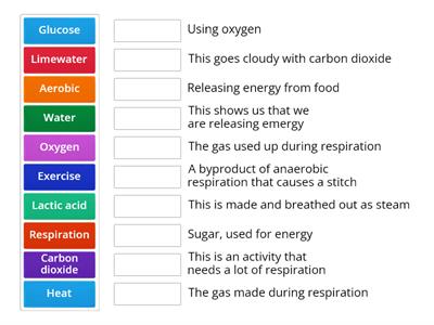 aerobic respiration