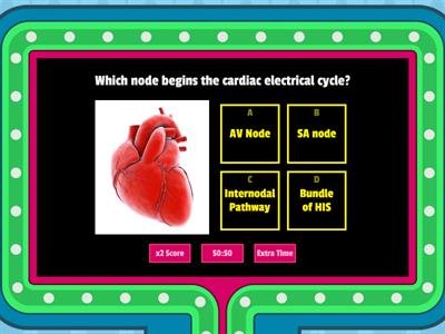 Cardiac Electrical Pathway