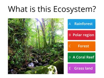 starter Ecosystems