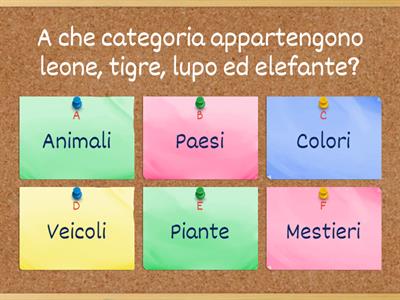 Categorizzazione