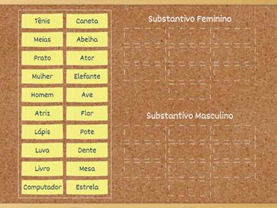 Substantivos masculinos e femininos