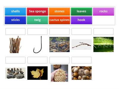 Ifli English B2 - animal tools: objects found in nature