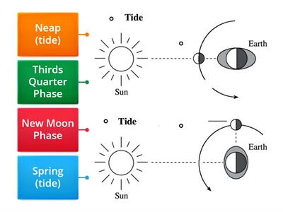 Tides and Moon phases