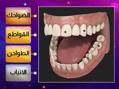  أنواع الأسنان