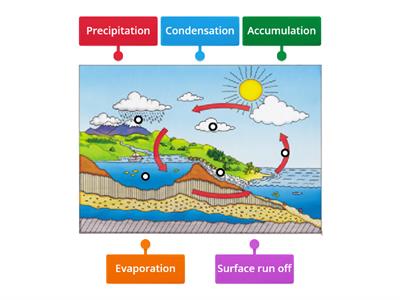 Water Cycle Diagram