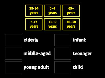 Age Groups