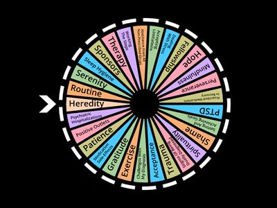 Wheel Of DD CMA Recovery Topics